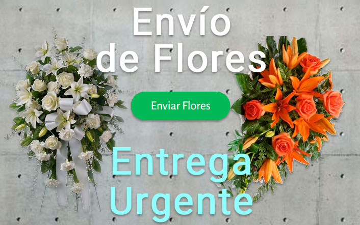 Envio de flores urgente a Tanatorio Burgos